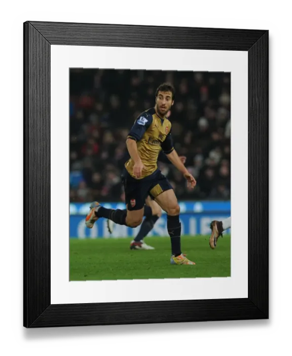 Framed Print : Mathieu Flamini in Action: Arsenal vs Stoke City, Premier League 2015-16 Framed Print : Mathieu Flamini in Action: Arsenal vs Stoke City, Premier League 2015-16