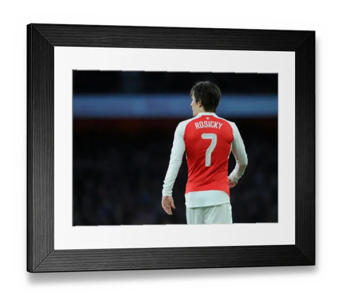 Framed Print : Arsenal's Rosicky in FA Cup Action: Arsenal vs. Burnley, 2016 Framed Print : Arsenal's Rosicky in FA Cup Action: Arsenal vs. Burnley, 2016