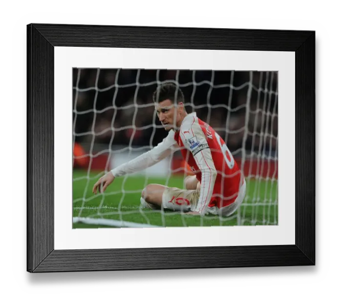 Framed Print : Arsenal's Koscielny in Action: Arsenal vs. Southampton (2015-16) Framed Print : Arsenal's Koscielny in Action: Arsenal vs. Southampton (2015-16)