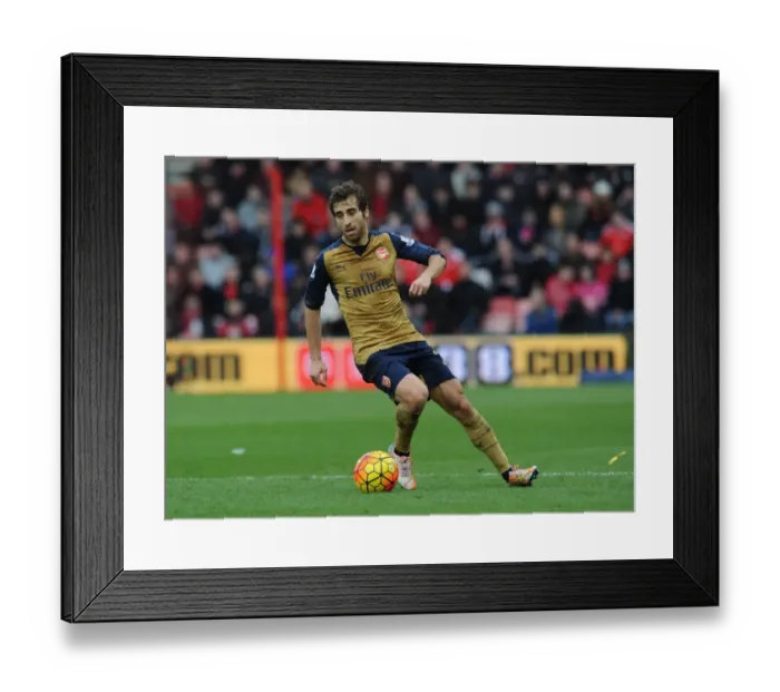 Framed Print : Mathieu Flamini in Action: Arsenal's Midfield Battle at Bournemouth, Premier League 2015-16 Framed Print : Mathieu Flamini in Action: Arsenal's Midfield Battle at Bournemouth, Premier League 2015-16