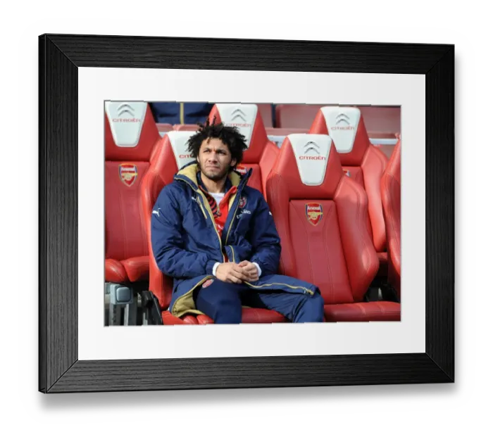 Framed Print : Arsenal's Elneny on the Bench: Arsenal vs Leicester City, Premier League 2015-16 Framed Print : Arsenal's Elneny on the Bench: Arsenal vs Leicester City, Premier League 2015-16