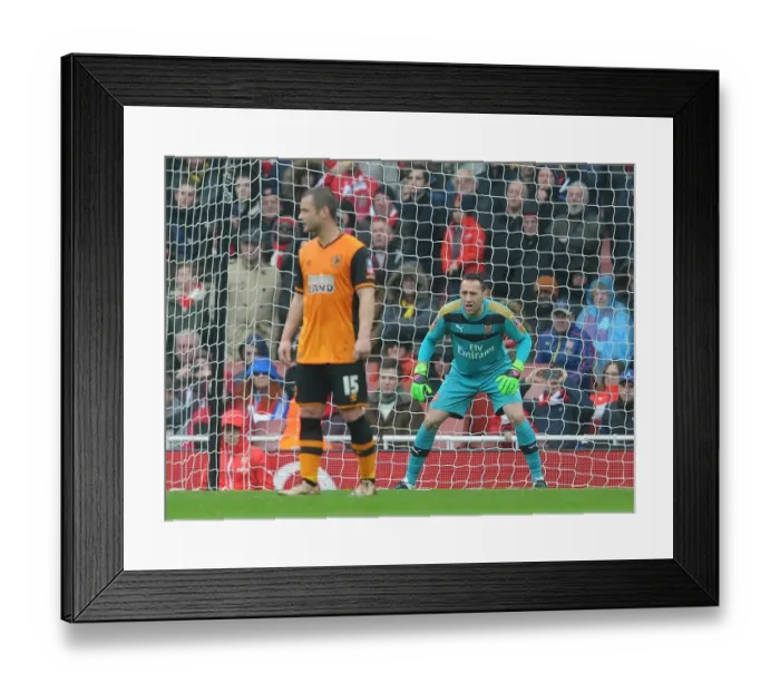 Framed Print : David Ospina (Arsenal). Arsenal 0: 0 Hull City. FA Cup 5th Round. Emirates Stadium Framed Print : David Ospina (Arsenal). Arsenal 0: 0 Hull City. FA Cup 5th Round. Emirates Stadium