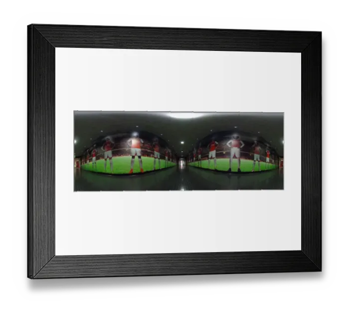 Framed Print : Arsenal FC: Tunnel Moment - Arsenal vs. Hull City, FA Cup Fifth Round, Emirates Stadium