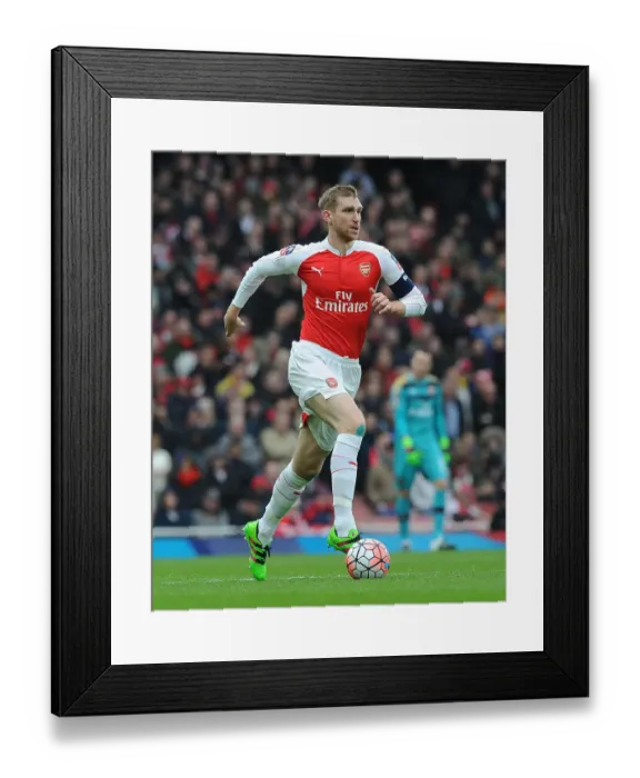 Framed Print : Per Mertesacker in FA Cup Action: Arsenal vs Hull City at The Emirates Framed Print : Per Mertesacker in FA Cup Action: Arsenal vs Hull City at The Emirates