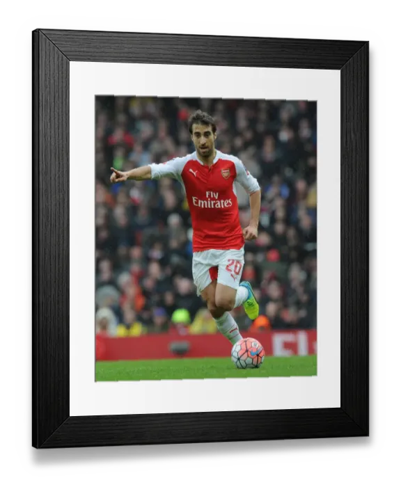 Framed Print : Mathieu Flamini in FA Cup Action: Arsenal vs Hull City at The Emirates Framed Print : Mathieu Flamini in FA Cup Action: Arsenal vs Hull City at The Emirates