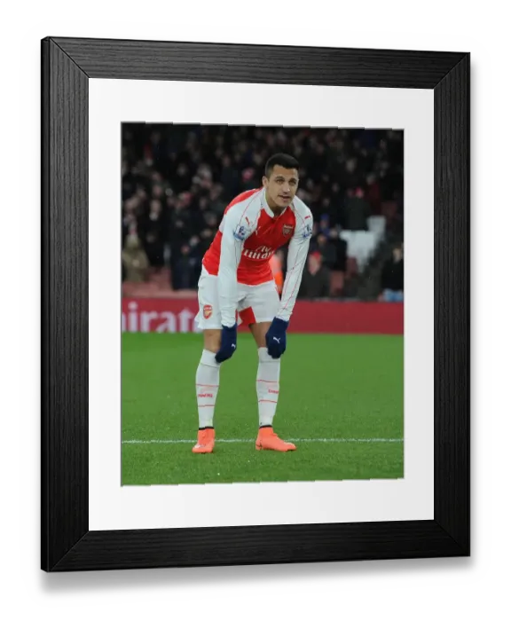 Framed Print : Alexis Sanchez Gears Up for Arsenal's Clash against Swansea City (2015-16) Framed Print : Alexis Sanchez Gears Up for Arsenal's Clash against Swansea City (2015-16)