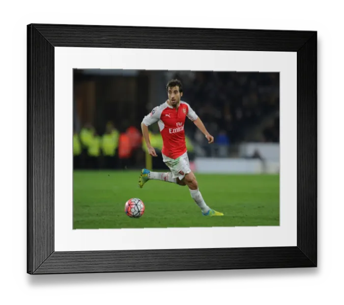 Framed Print : Mathieu Flamini in Action: Arsenal's Emirates FA Cup Battle at Hull City