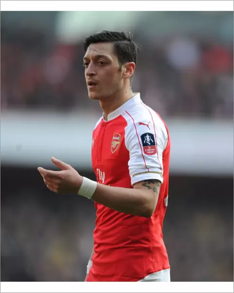 Mesut Ozil in FA Cup Action: Arsenal vs. Watford at The Emirates