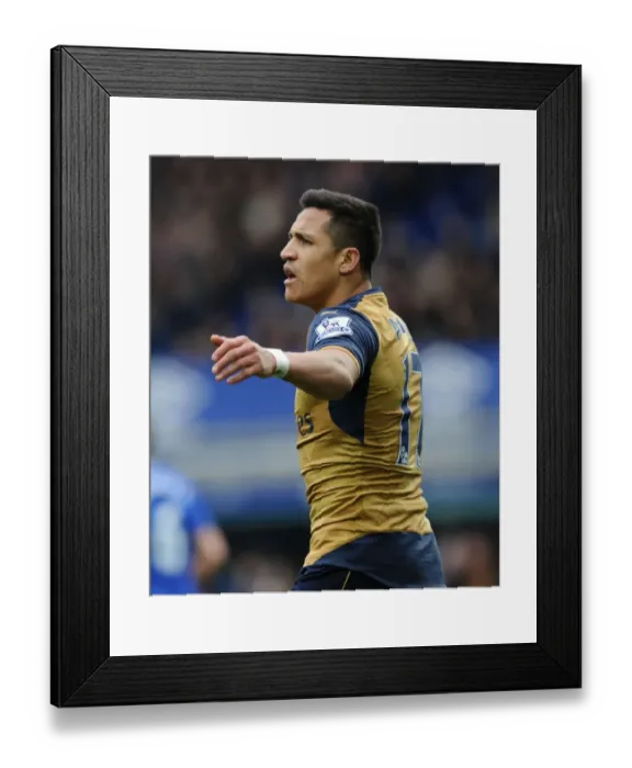 Framed Print : LIVERPOOL, ENGLAND - MARCH 19: Alexis Sanchez of Arsenal during the Barclays Premier League match between Everton Framed Print : LIVERPOOL, ENGLAND - MARCH 19: Alexis Sanchez of Arsenal during the Barclays Premier League match between Everton
