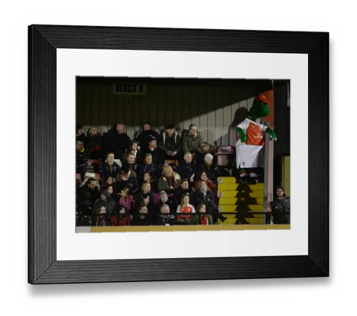 Framed Print : Gunner. Arsenal Ladies 3: 1 Reading FC Women. WSL. Meadow Park, Borehamwood, 23 / 3 / 16 Framed Print : Gunner. Arsenal Ladies 3: 1 Reading FC Women. WSL. Meadow Park, Borehamwood, 23 / 3 / 16