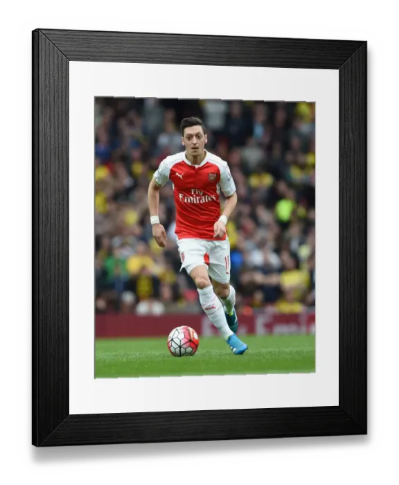 Framed Print : Mesut Ozil in Action: Arsenal vs. Watford, Premier League 2015-16 Framed Print : Mesut Ozil in Action: Arsenal vs. Watford, Premier League 2015-16