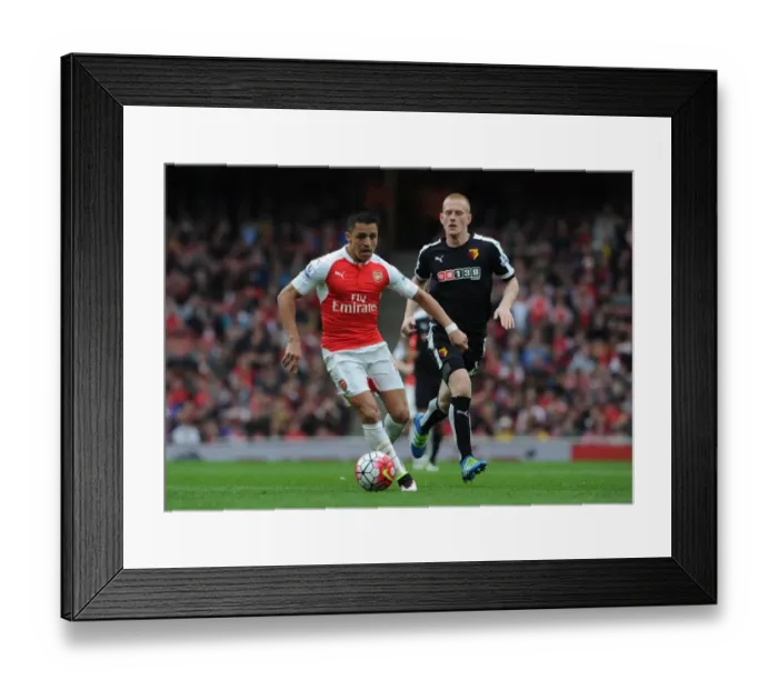 Framed Print : Clash of the Midfielders: Alexis Sanchez vs. Ben Watson in Arsenal's Battle Against Watford Framed Print : Clash of the Midfielders: Alexis Sanchez vs. Ben Watson in Arsenal's Battle Against Watford