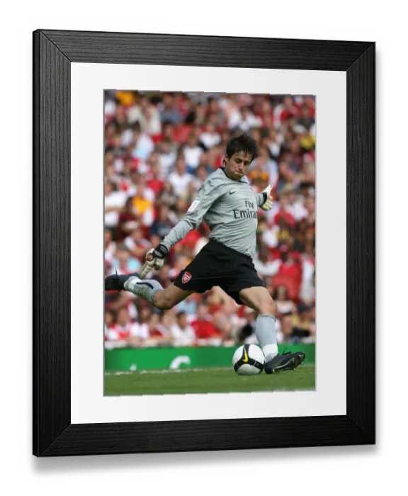 Framed Print : Lukasz Fabianski (Arsenal) Framed Print : Lukasz Fabianski (Arsenal)