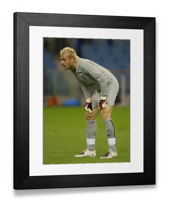 Framed Print : Manuel Almunia's Glory: Arsenal's Unforgettable 2-0 Champions League Victory over FC Twente, 2008 Framed Print : Manuel Almunia's Glory: Arsenal's Unforgettable 2-0 Champions League Victory over FC Twente, 2008