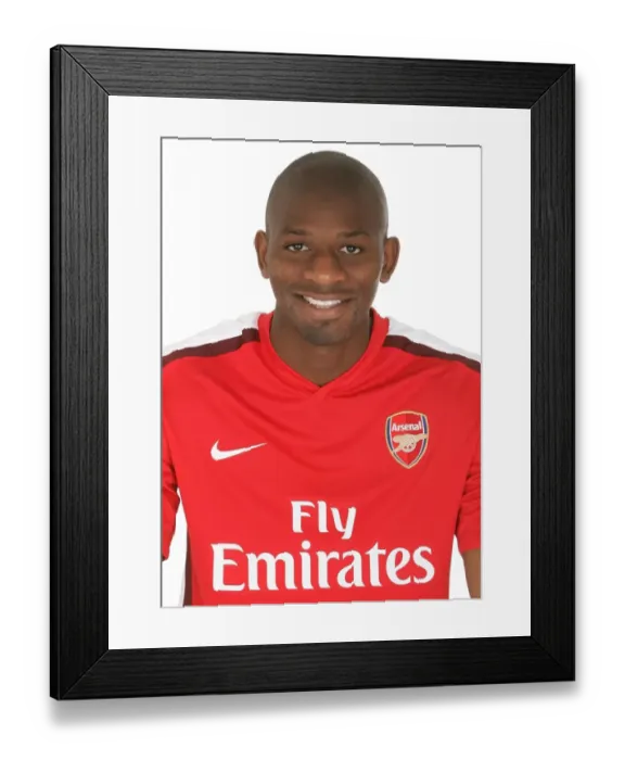 Framed Print : Abou Diaby with Arsenal First Team - Emirates Stadium Photocall (2008) Framed Print : Abou Diaby with Arsenal First Team - Emirates Stadium Photocall (2008)