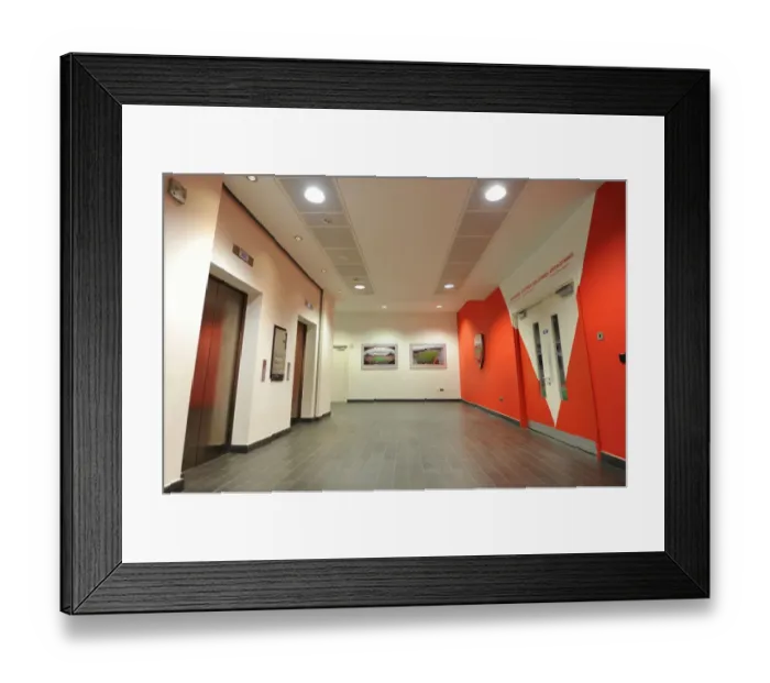 Framed Print : Arsenal Players Grand Entrance: Arsenal vs. West Bromwich Albion, Premier League 2015-16