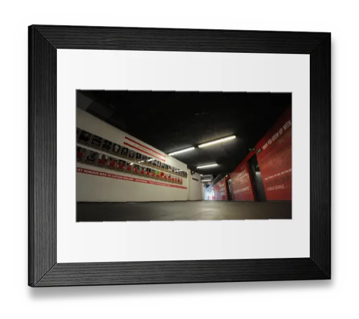 Framed Print : Upper Concourse, Arsenal's Emirates Stadium: Pre-Match Atmosphere (Arsenal vs. West Bromwich Albion, 2015-16)