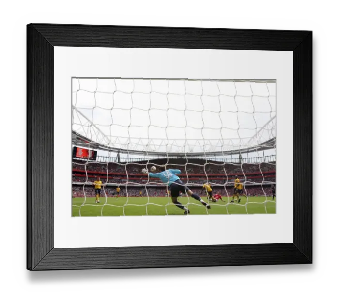 Framed Print : Arsenal's 1-0 FA Premier League Victory over West Bromwich Albion at Emirates Stadium (2008) Framed Print : Arsenal's 1-0 FA Premier League Victory over West Bromwich Albion at Emirates Stadium (2008)
