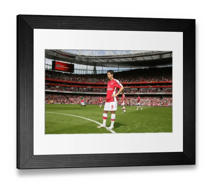 Framed Print : Nasri's Stunner: Arsenal's 1-0 Victory Over West Bromwich Albion, 2008 Framed Print : Nasri's Stunner: Arsenal's 1-0 Victory Over West Bromwich Albion, 2008