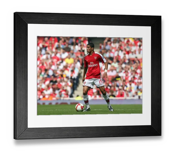 Framed Print : Denilson's Victory: Arsenal 1-0 West Bromwich Albion, FA Premier League, Emirates Stadium (August 16, 2008) Framed Print : Denilson's Victory: Arsenal 1-0 West Bromwich Albion, FA Premier League, Emirates Stadium (August 16, 2008)