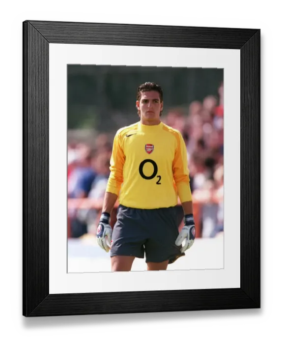 Framed Print : Mannone Vito: Arsenal Football Club's Unyielding Guardian Framed Print : Mannone Vito: Arsenal Football Club's Unyielding Guardian