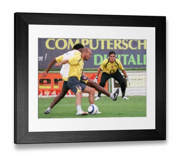 Framed Print : Vito Mannone (Arsenal). Arsenal Pre Season Training Framed Print : Vito Mannone (Arsenal). Arsenal Pre Season Training