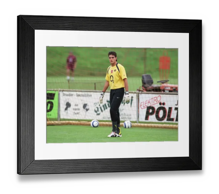 Framed Print : Arsenal's Unyielding Guardian: Mannone