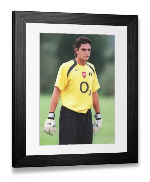 Framed Print : Mannone Vito: Arsenal FC's Unyielding Guardian Framed Print : Mannone Vito: Arsenal FC's Unyielding Guardian