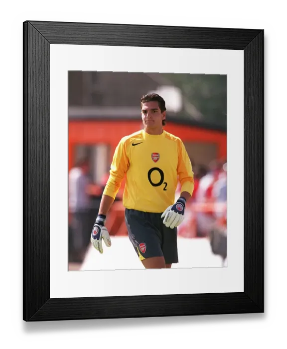 Framed Print : Mannone Vito: Arsenal's Unyielding Guardian