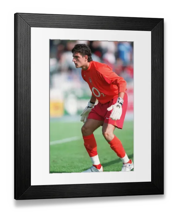 Framed Print : Arsenal's Unyielding Guardian: Vito Mannone