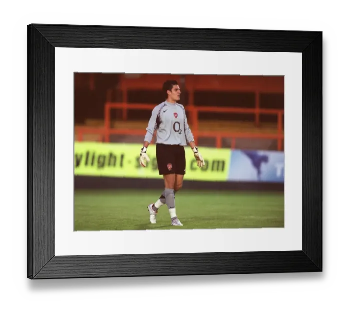 Framed Print : Vito Mannone (Arsenal). Arsenal Reserves 5: 3 Portsmouth Reserves