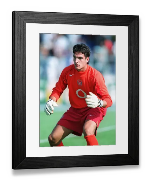 Framed Print : Mannone: Arsenal's Unyielding Guardian - The Unwavering Presence of Vito Mannone Framed Print : Mannone: Arsenal's Unyielding Guardian - The Unwavering Presence of Vito Mannone