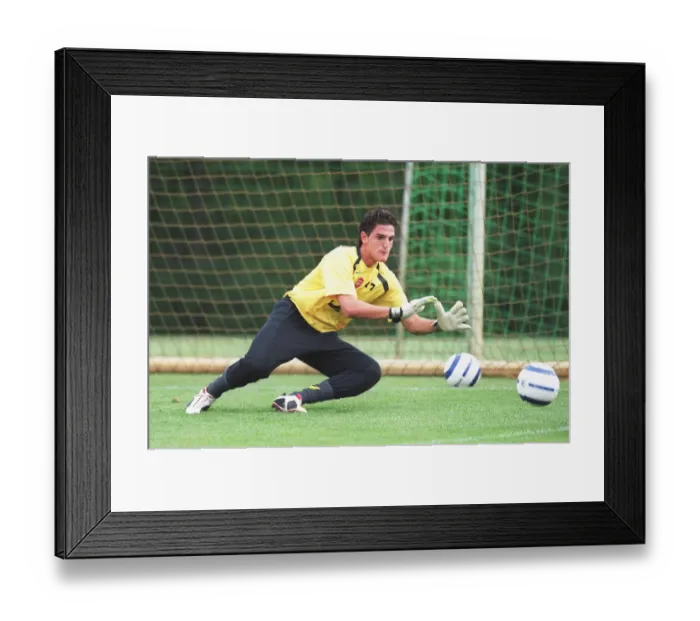 Framed Print : Arsenal Football Club: Mannone Vito - The Unyielding Guardian