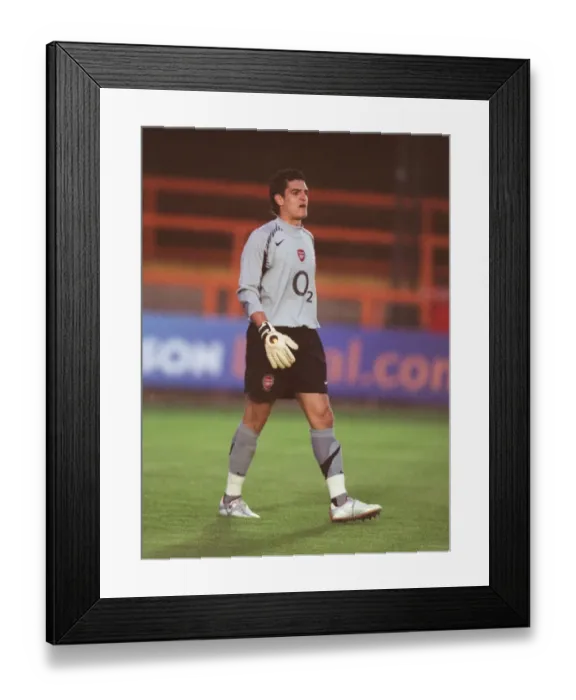 Framed Print : Vito Mannone in Action: Arsenal's Win Against Portsmouth Reserves (5-3) Framed Print : Vito Mannone in Action: Arsenal's Win Against Portsmouth Reserves (5-3)