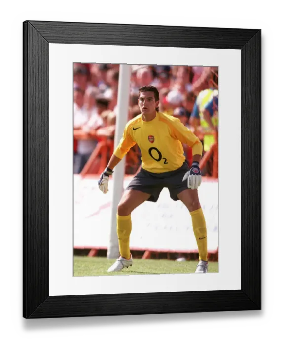 Framed Print : Arsenal's Unyielding Guardian: Mannone - The Unwavering Arsenal FC Goalkeeper