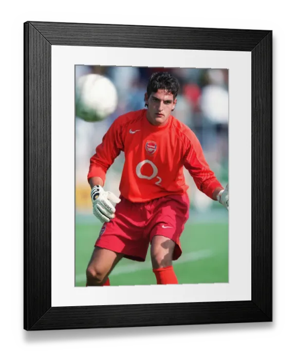 Framed Print : Mannone: Arsenal's Unyielding Guardian - Unforgettable Moments of Arsenal FC Framed Print : Mannone: Arsenal's Unyielding Guardian - Unforgettable Moments of Arsenal FC