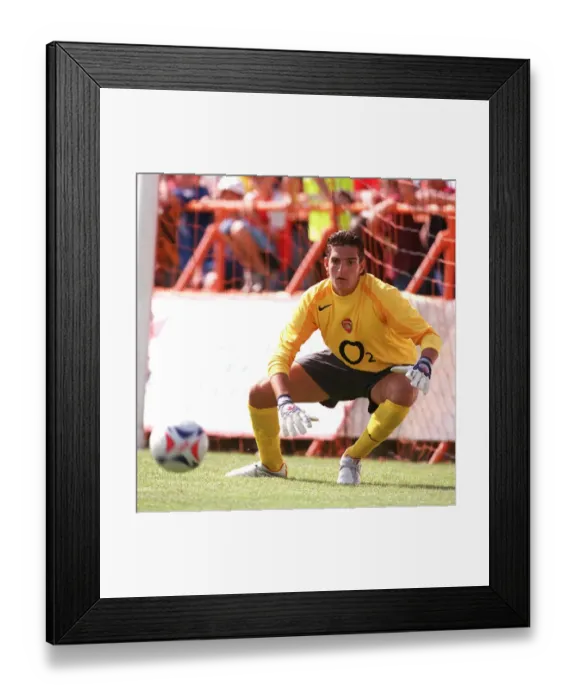 Framed Print : Arsenal FC: Mannone Vito - The Gunners Tenacious Goalkeeper Framed Print : Arsenal FC: Mannone Vito - The Gunners Tenacious Goalkeeper