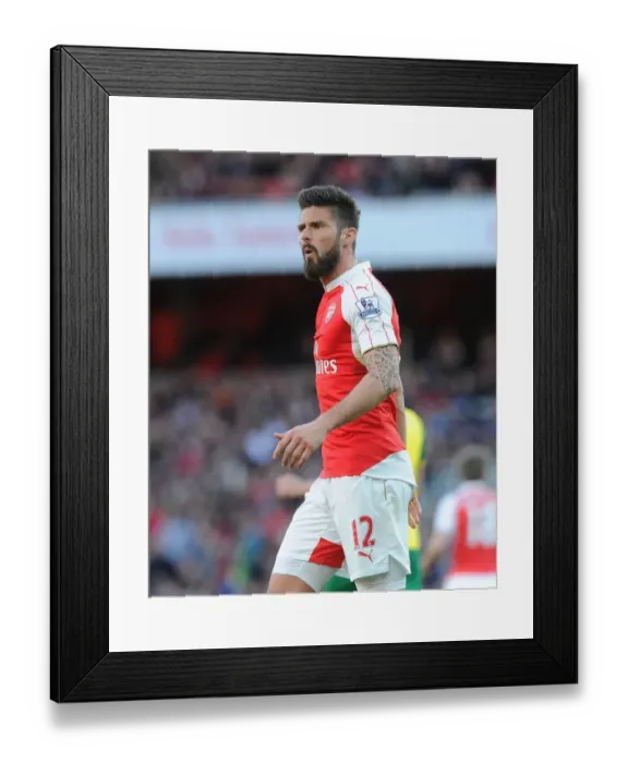 Framed Print : Arsenal's Olivier Giroud in Action Against Norwich City (2015-16)