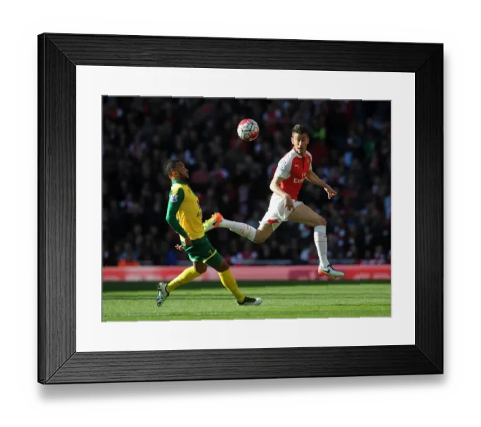 Framed Print : Arsenal v Norwich City - Premier League Framed Print : Arsenal v Norwich City - Premier League