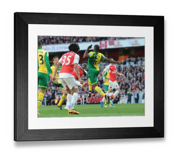 Framed Print : Danny Welbeck Scores the Winning Goal: Arsenal Triumphs Over Norwich City, Premier League 2015-16 Framed Print : Danny Welbeck Scores the Winning Goal: Arsenal Triumphs Over Norwich City, Premier League 2015-16
