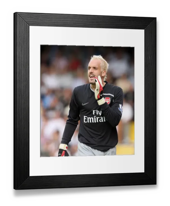Framed Print : Manuel Almunia's Shutout: Arsenal Triumphs 1-0 Over Fulham in the Premier League (2008)