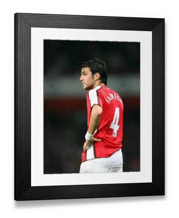 Framed Print : Cesc Fabregas's Dominant Performance: Arsenal's 4-0 Champions League Victory over FC Twente Framed Print : Cesc Fabregas's Dominant Performance: Arsenal's 4-0 Champions League Victory over FC Twente