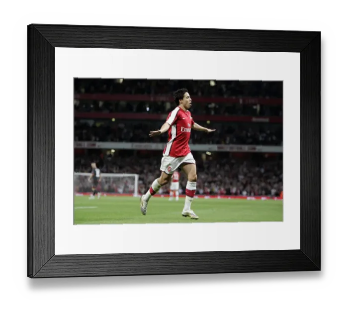 Framed Print : Sami Nasri celebrates scoring Arsenals 1st goal Framed Print : Sami Nasri celebrates scoring Arsenals 1st goal