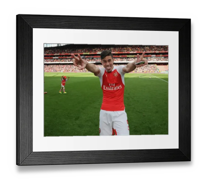 Framed Print : Gabriel's Emotional Reaction: Arsenal vs Aston Villa, Premier League 2015-16 Framed Print : Gabriel's Emotional Reaction: Arsenal vs Aston Villa, Premier League 2015-16