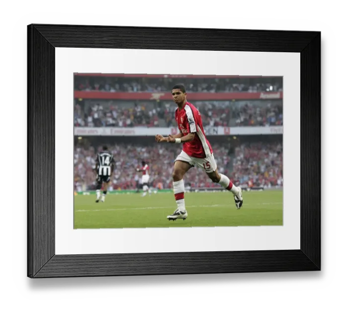 Framed Print : Denilson's Triumph: Arsenal's 3-0 Barclays Premier League Victory Over Newcastle United Framed Print : Denilson's Triumph: Arsenal's 3-0 Barclays Premier League Victory Over Newcastle United