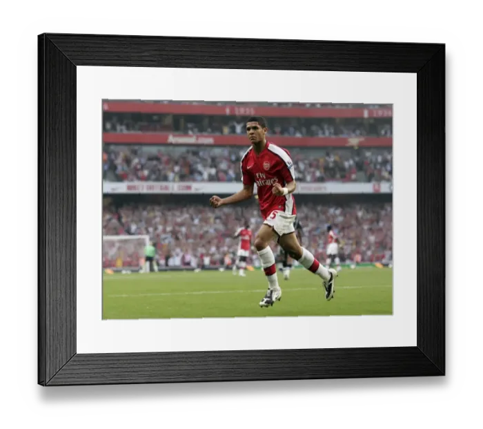 Framed Print : Denilson's Triumph: Arsenal's 3-0 Barclays Premier League Victory Over Newcastle United