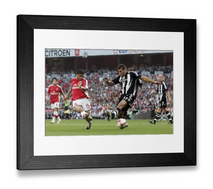 Framed Print : Denilson scores Arsenals 3rd goal past Steven Taylor (Newcastle) Framed Print : Denilson scores Arsenals 3rd goal past Steven Taylor (Newcastle)