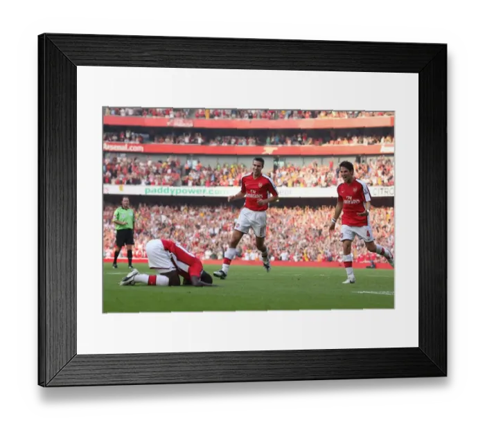 Framed Print : Arsenal v Newcastle United 2008-09 Framed Print : Arsenal v Newcastle United 2008-09