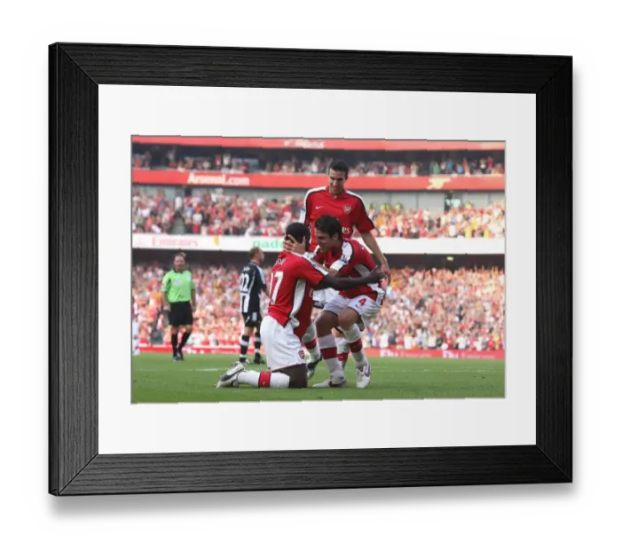 Framed Print : Van Persie's Double: Arsenal's Triumph over Newcastle (30 / 8 / 2008) Framed Print : Van Persie's Double: Arsenal's Triumph over Newcastle (30 / 8 / 2008)