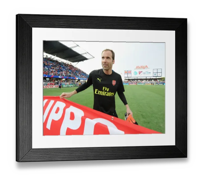 Framed Print : Petr Cech at the 2016 MLS All-Star Game: Arsenal vs MLS All-Stars